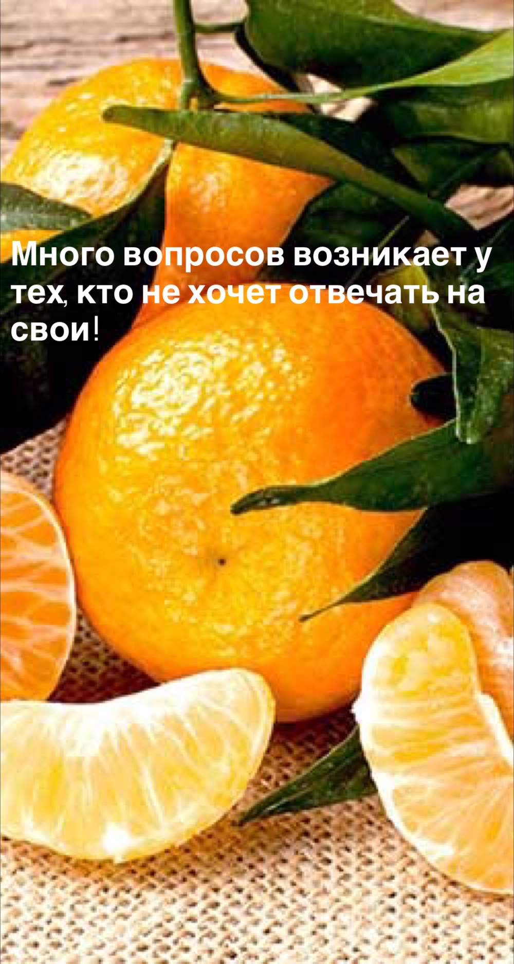 Порадоваться