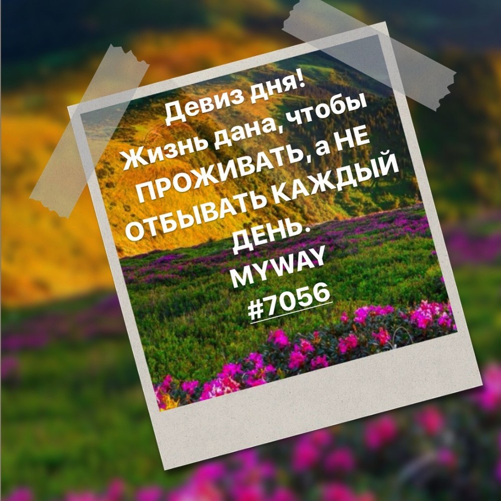 Порадоваться