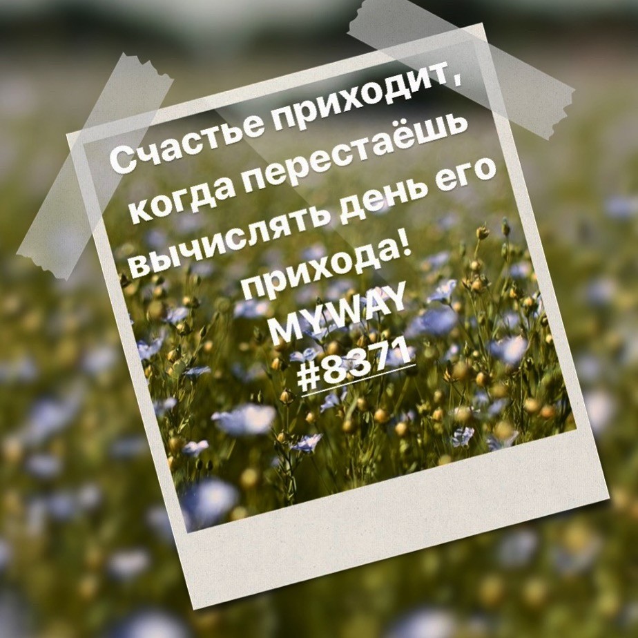 Порадоваться