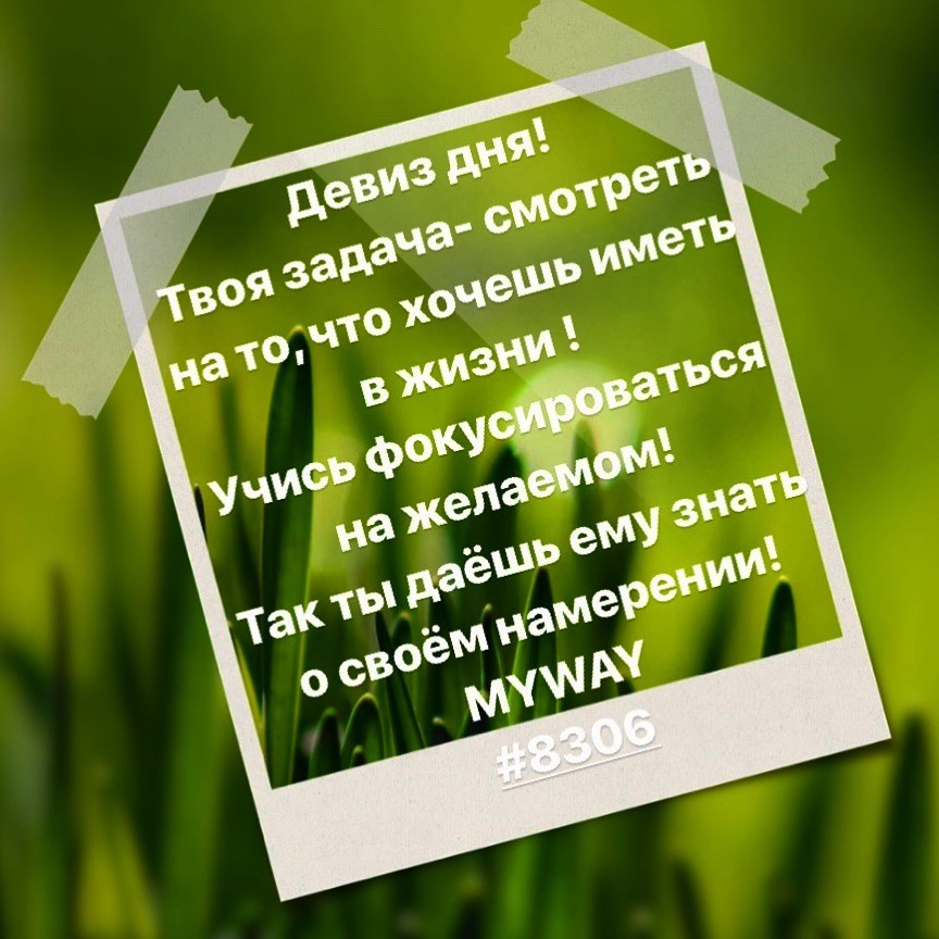 Порадоваться