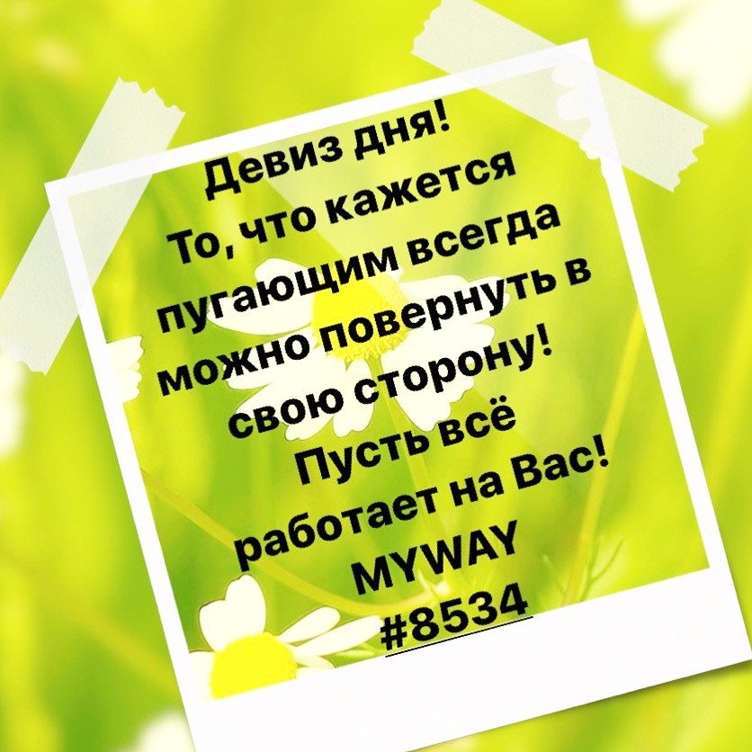 Порадоваться