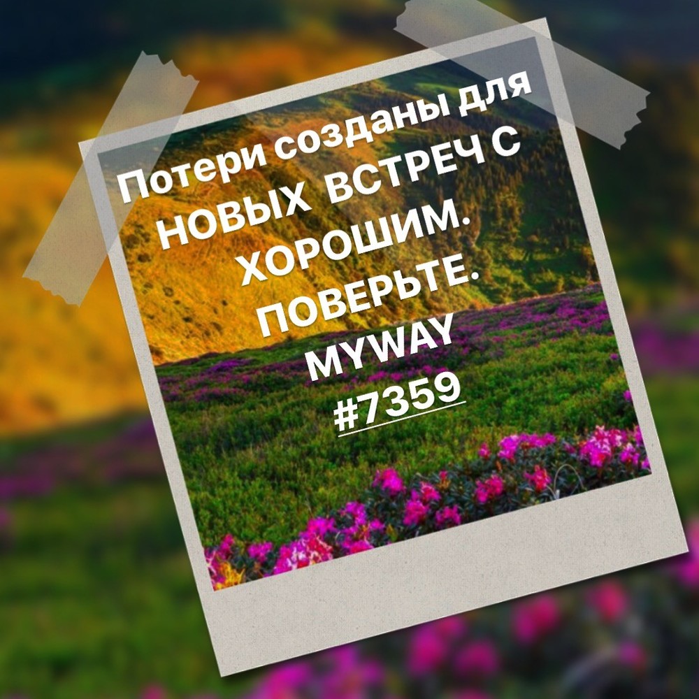 Порадоваться