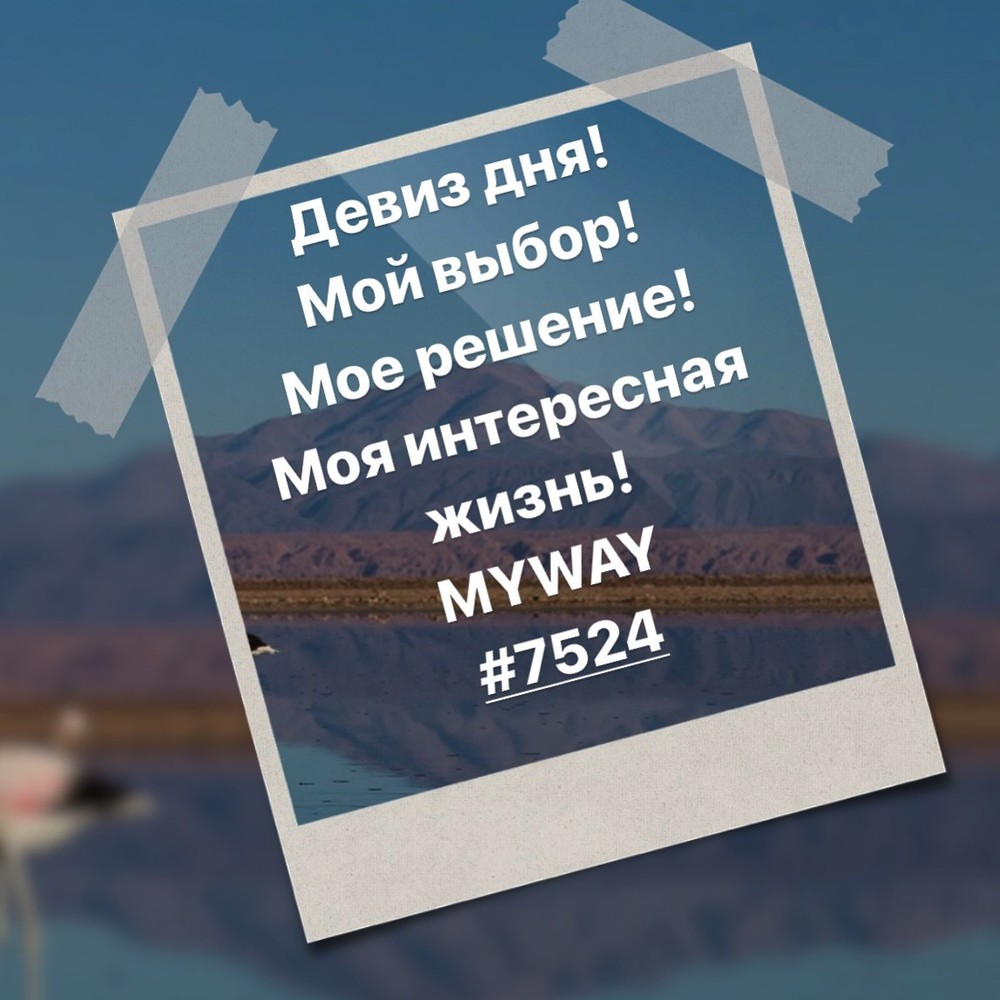 Порадоваться