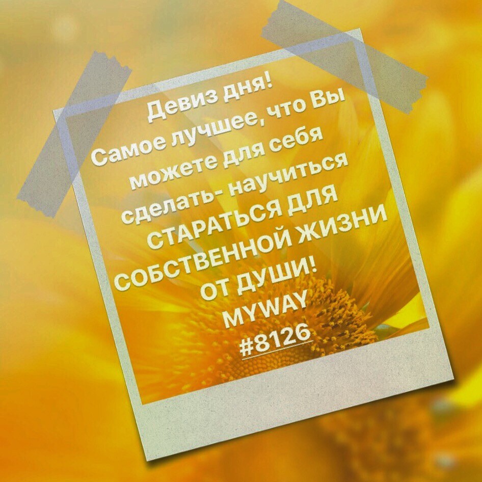 Порадоваться