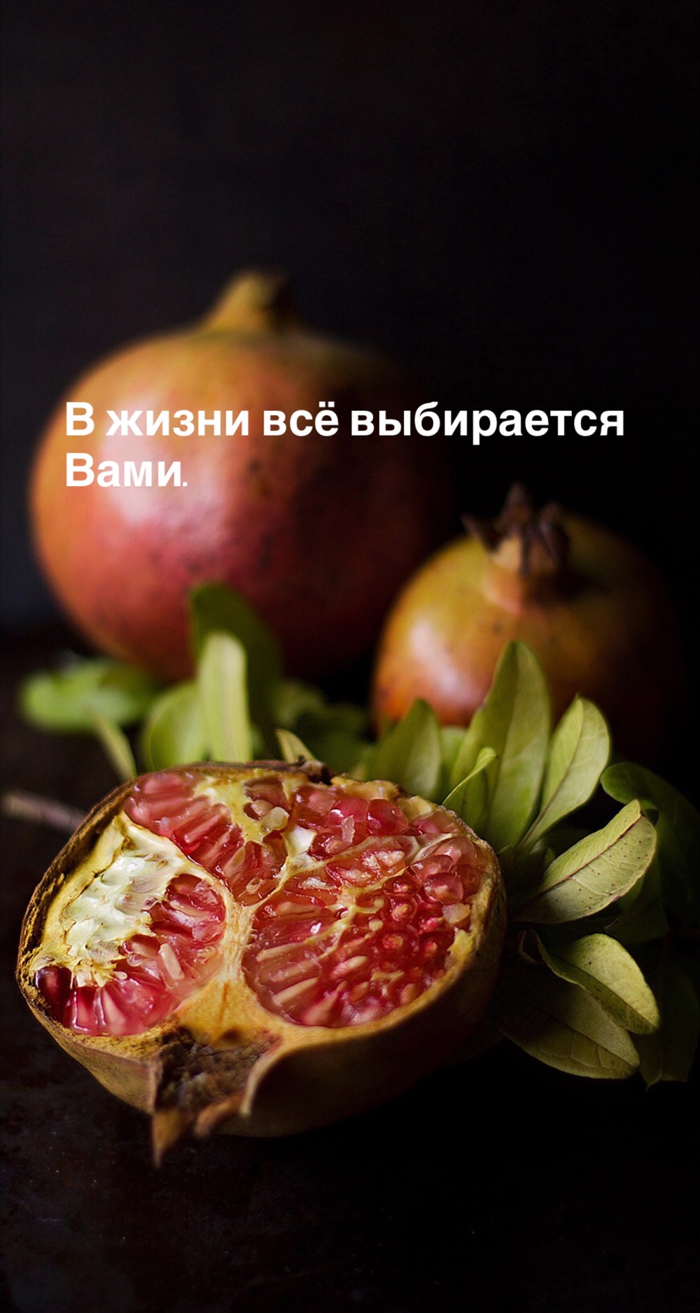 Порадоваться