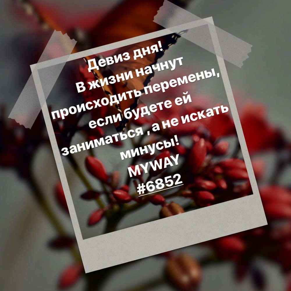 Порадоваться