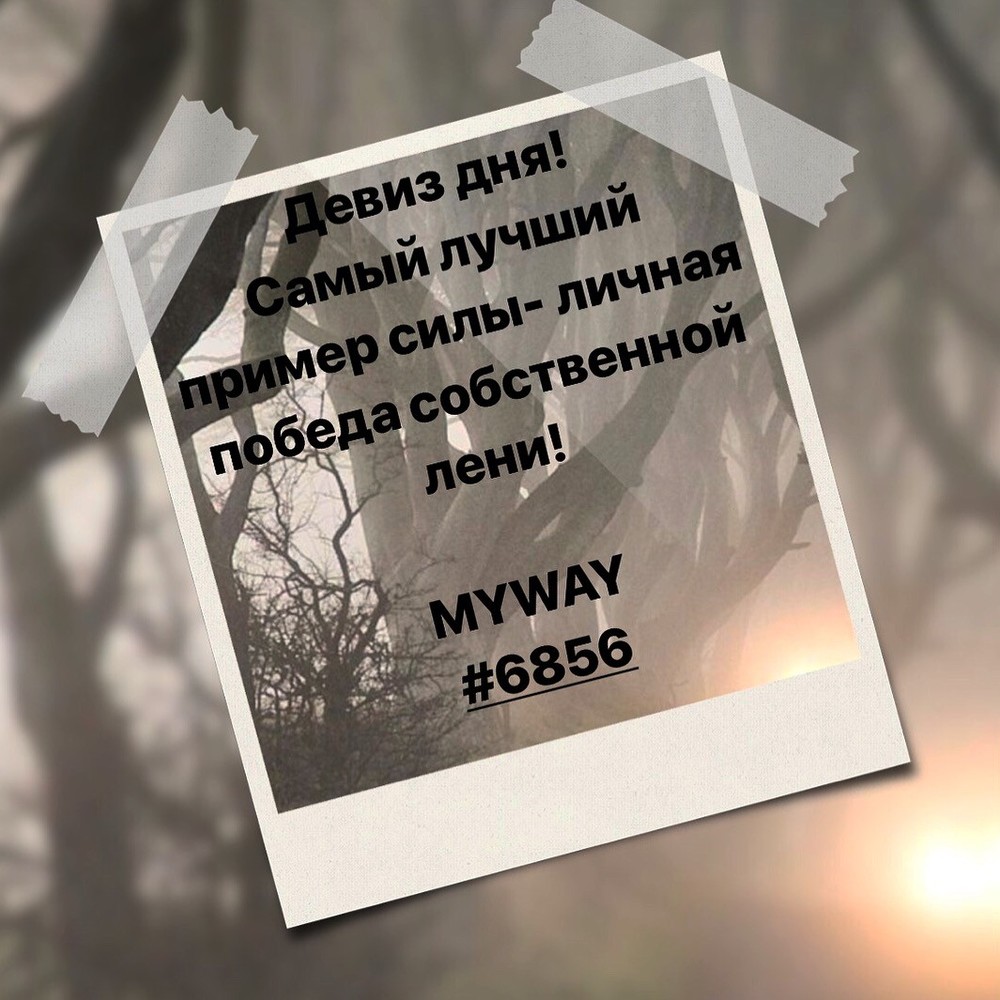 Порадоваться
