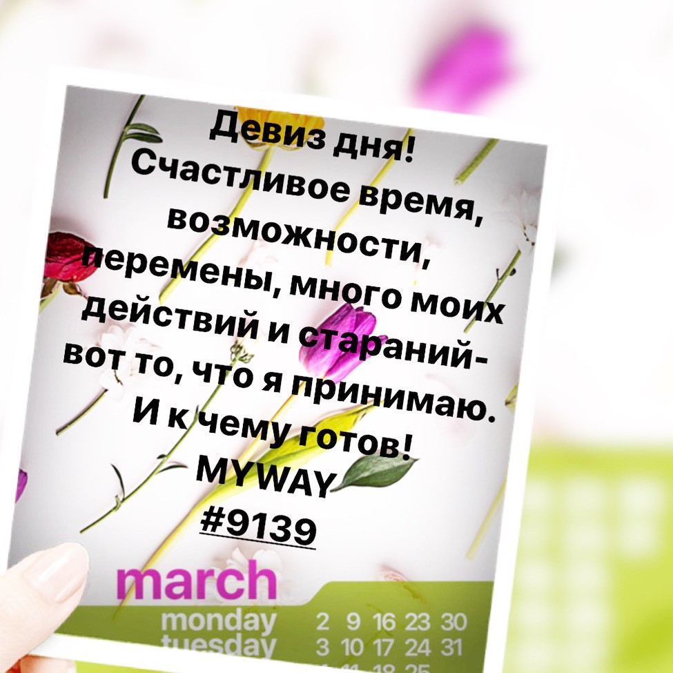 Порадоваться