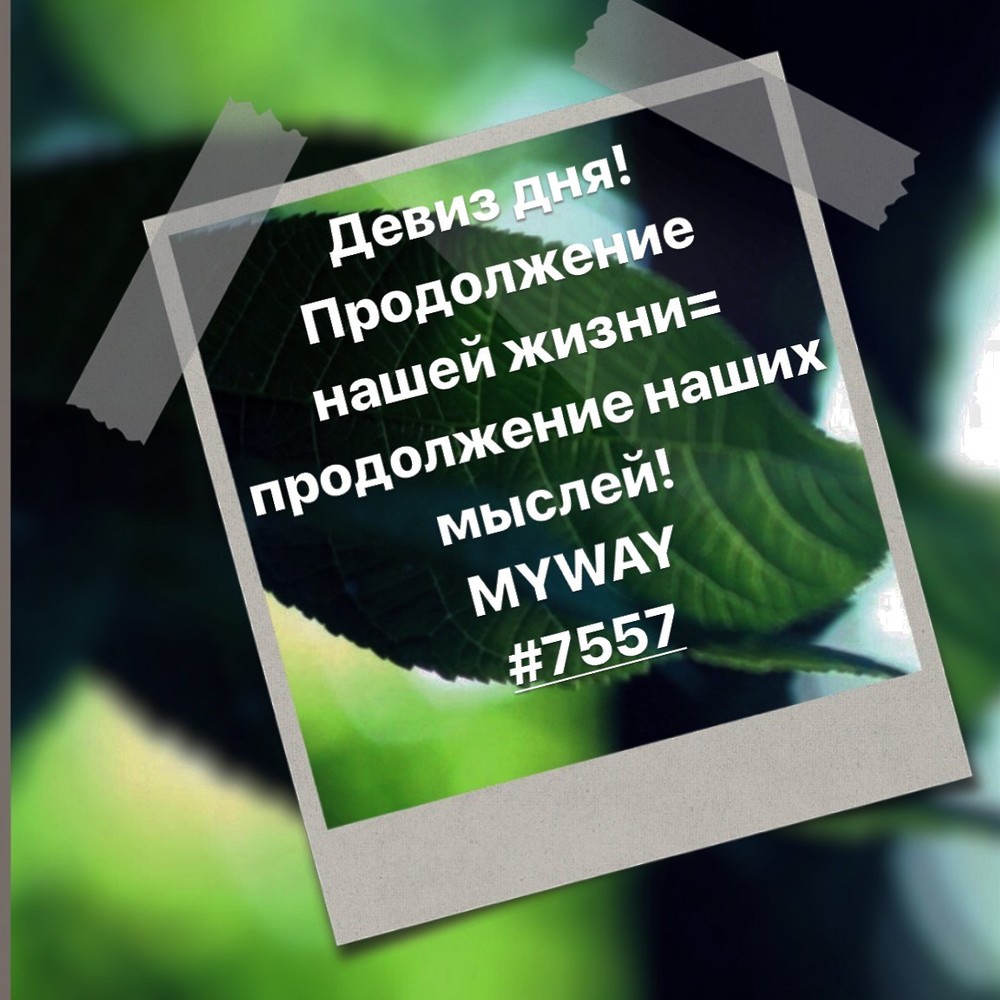 Порадоваться
