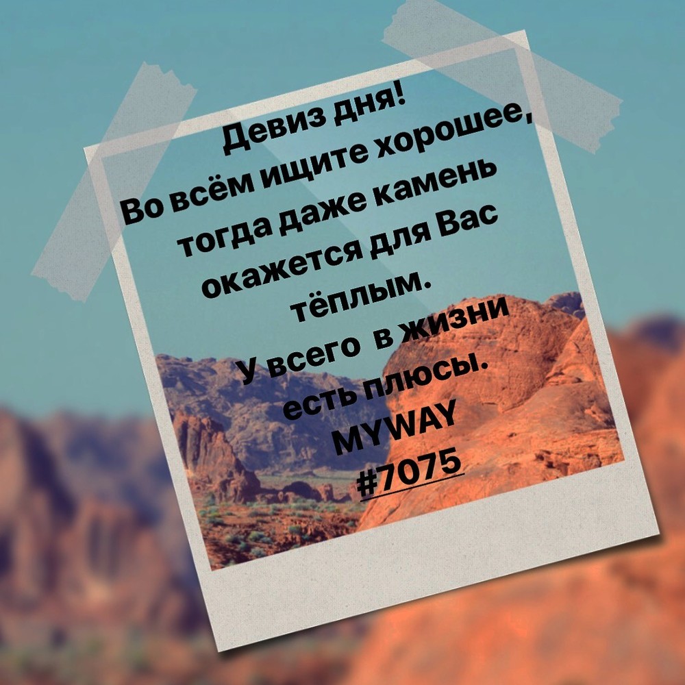 Порадоваться