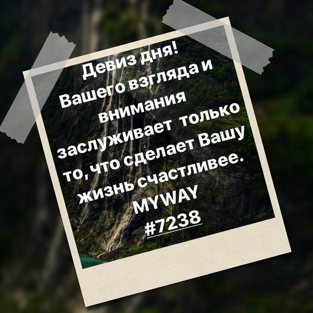 Порадоваться