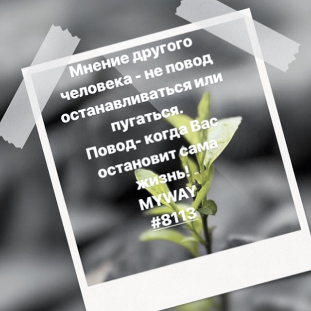 Порадоваться