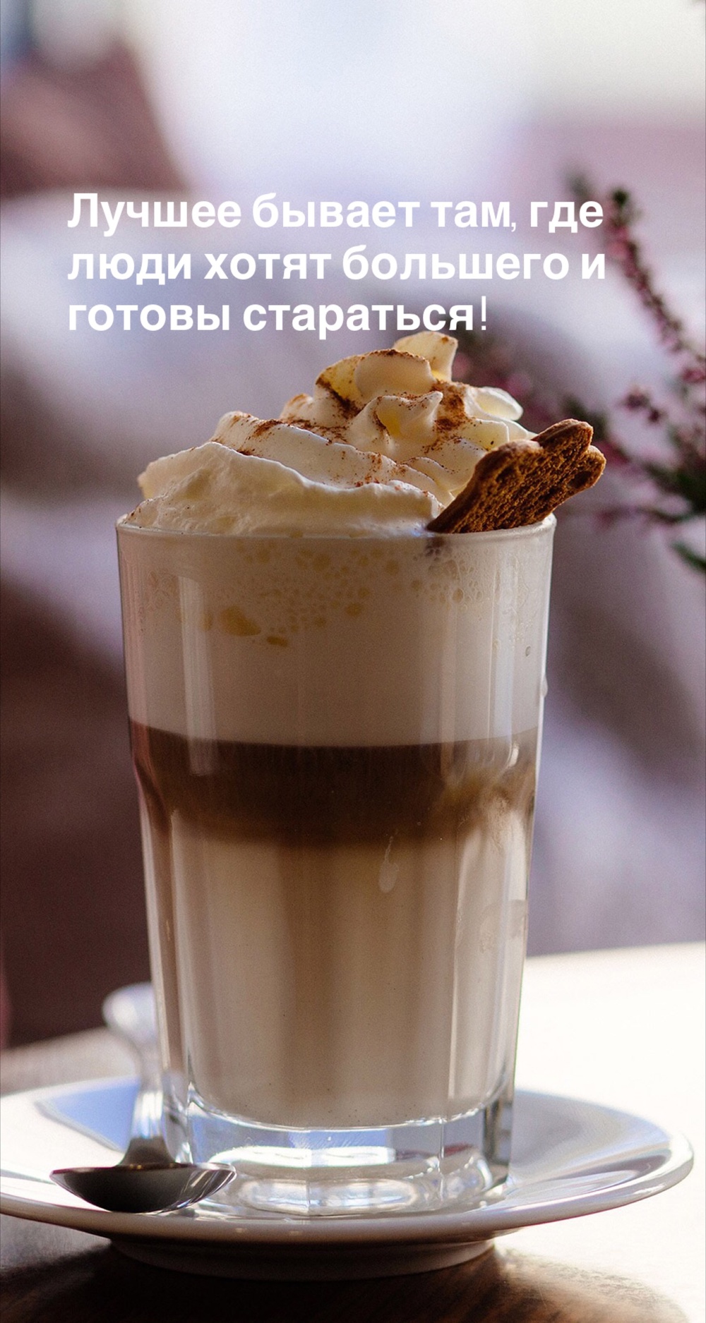 Порадоваться