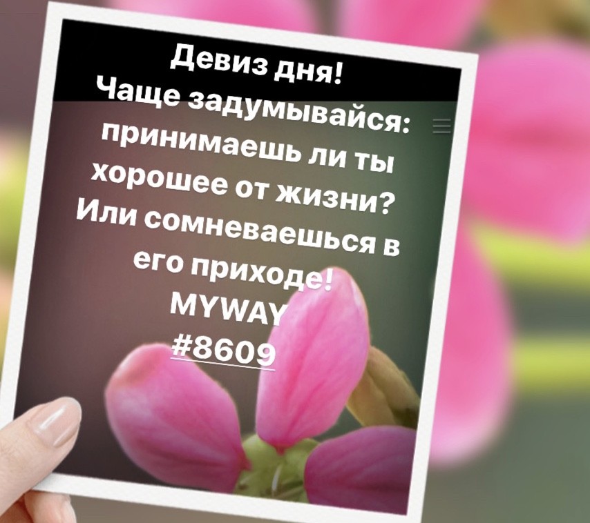 Порадоваться