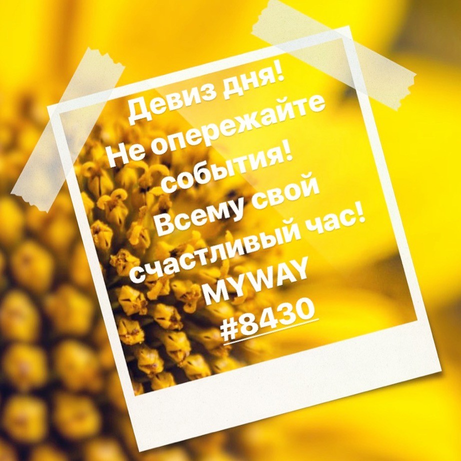Порадоваться