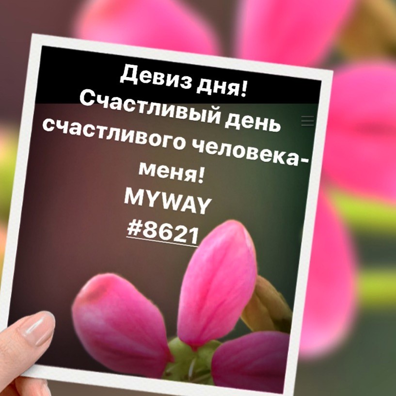 Порадоваться