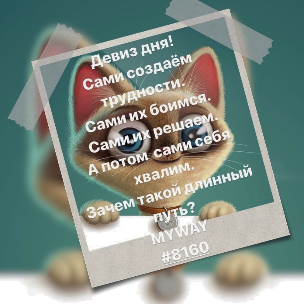 Порадоваться