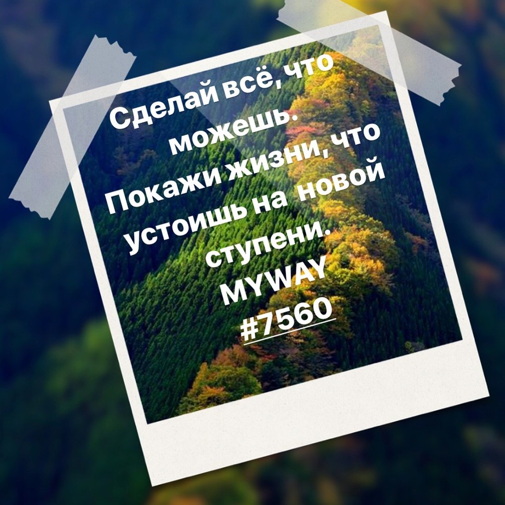 Порадоваться