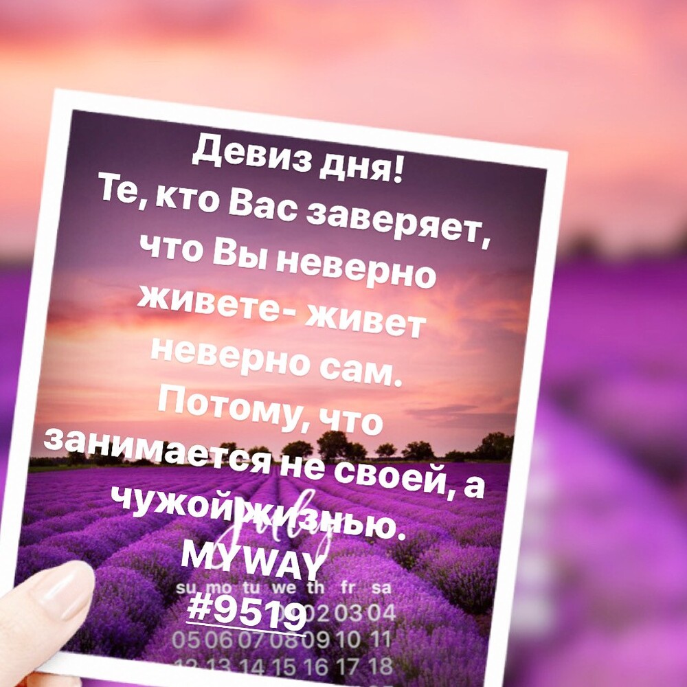 Порадоваться