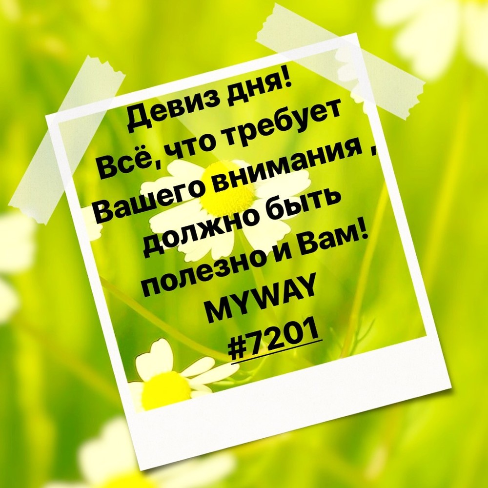 Порадоваться