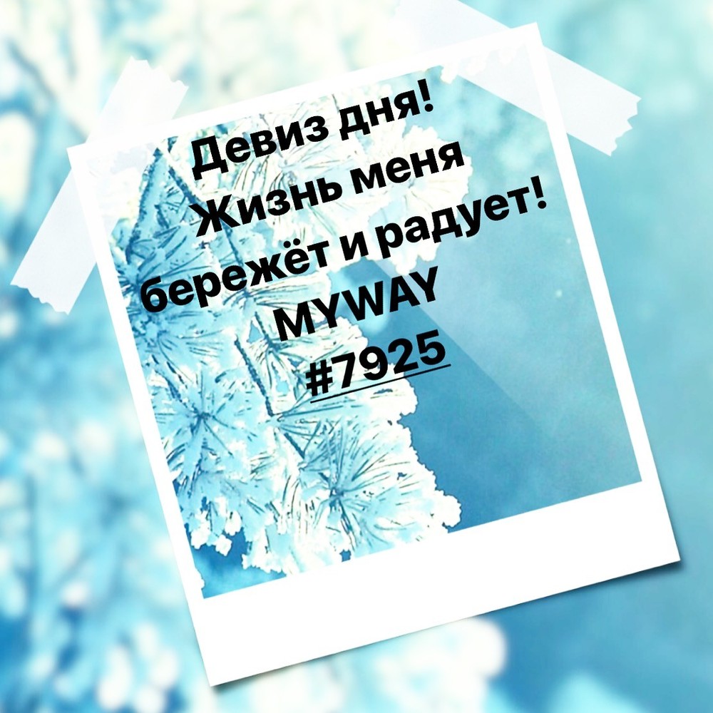 Порадоваться