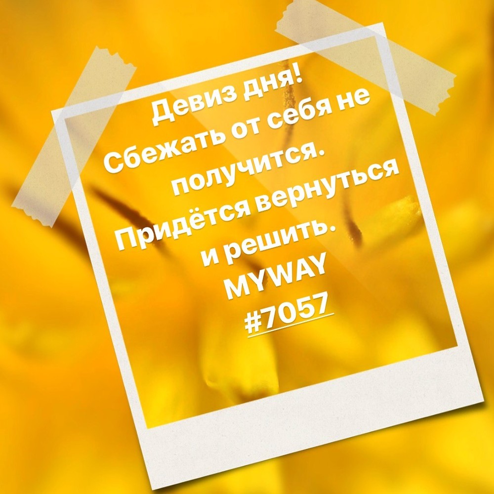 Порадоваться