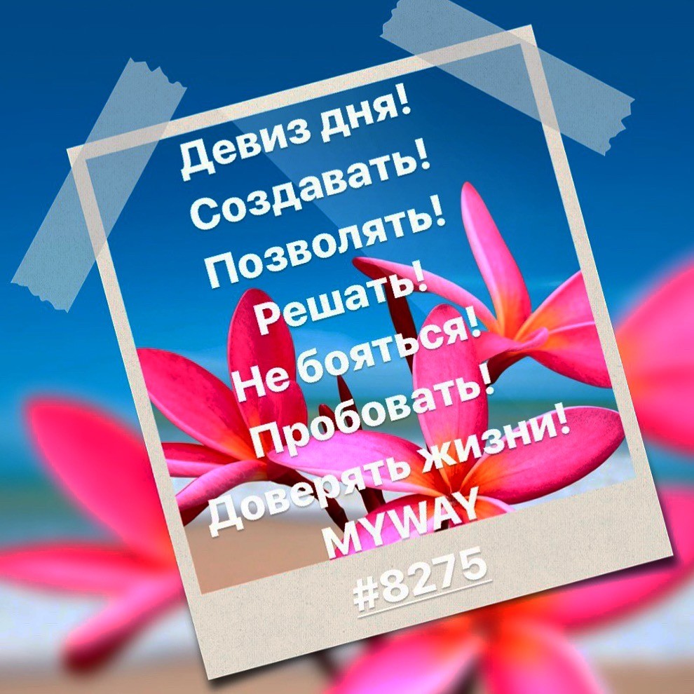 Порадоваться