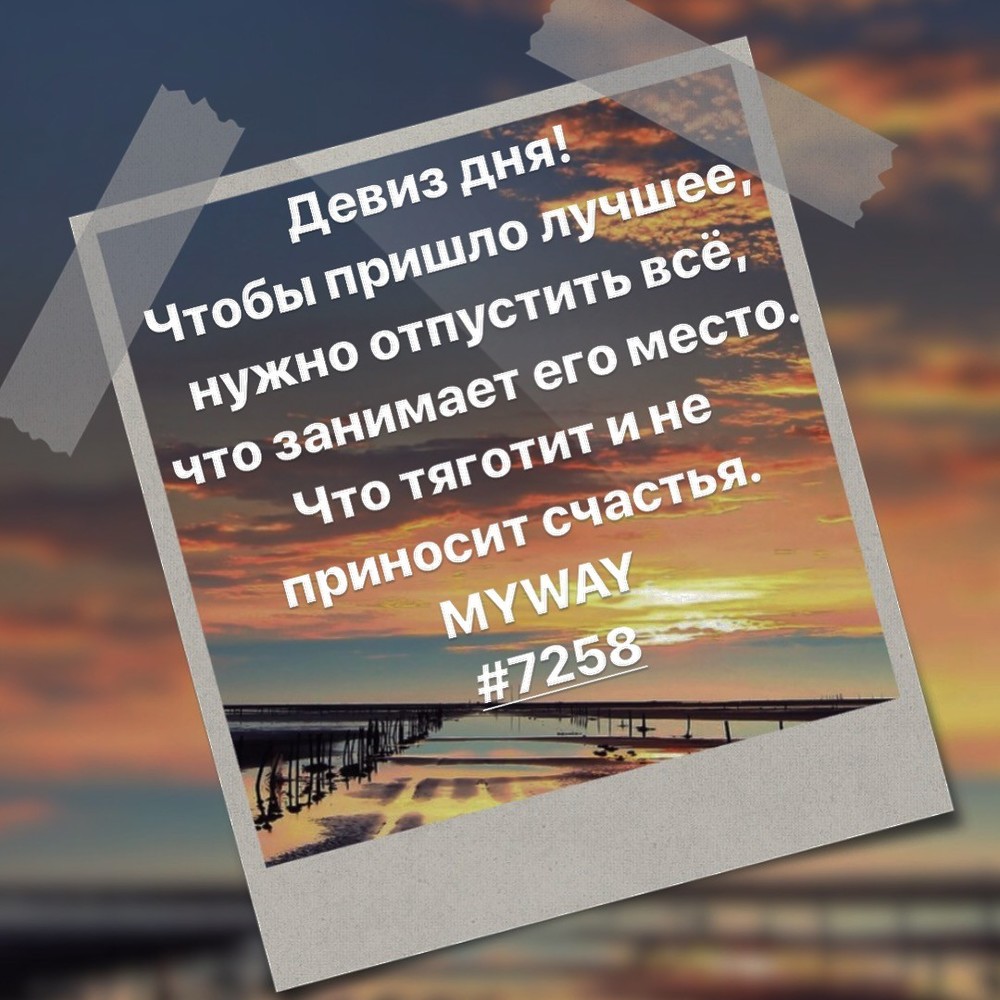 Порадоваться
