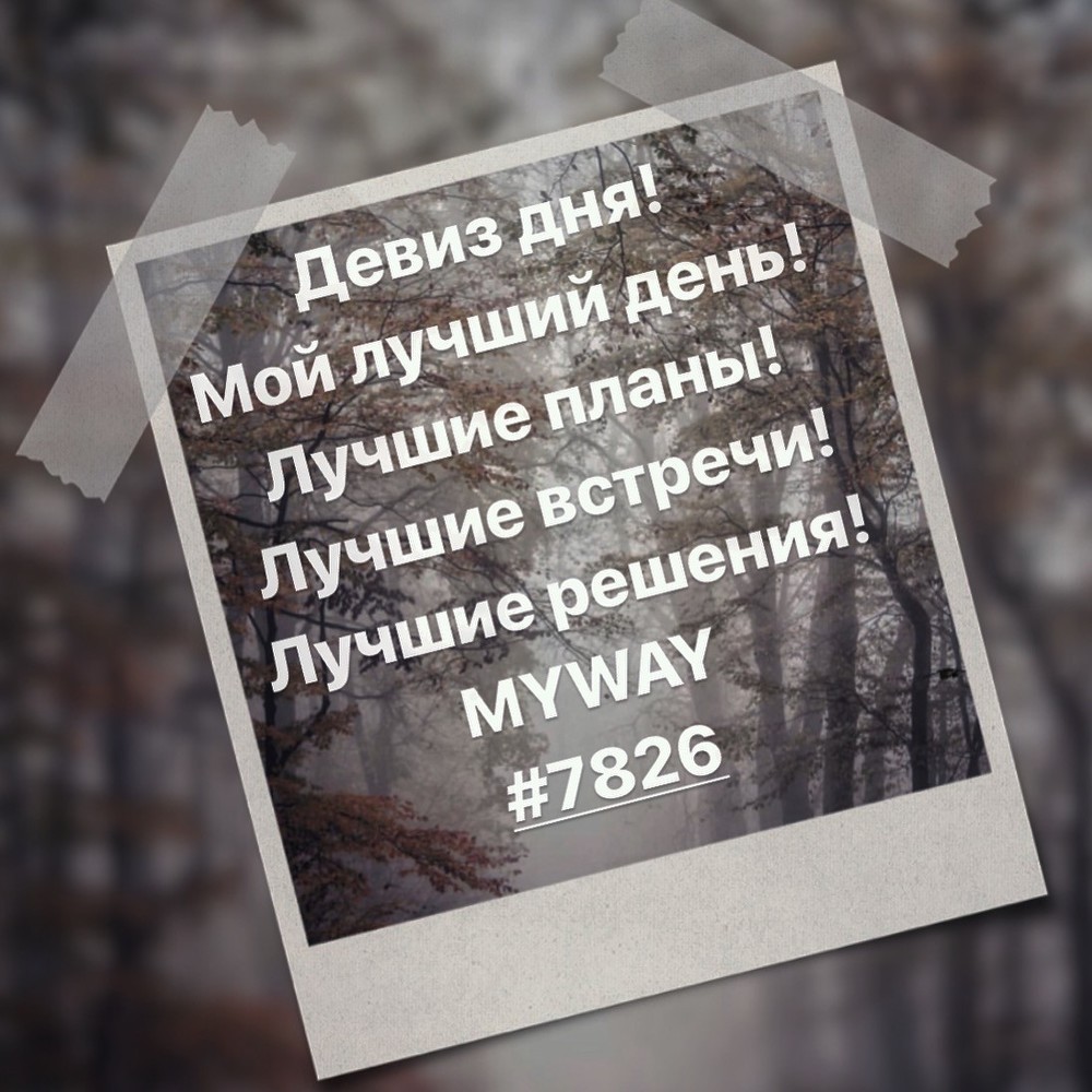 Порадоваться
