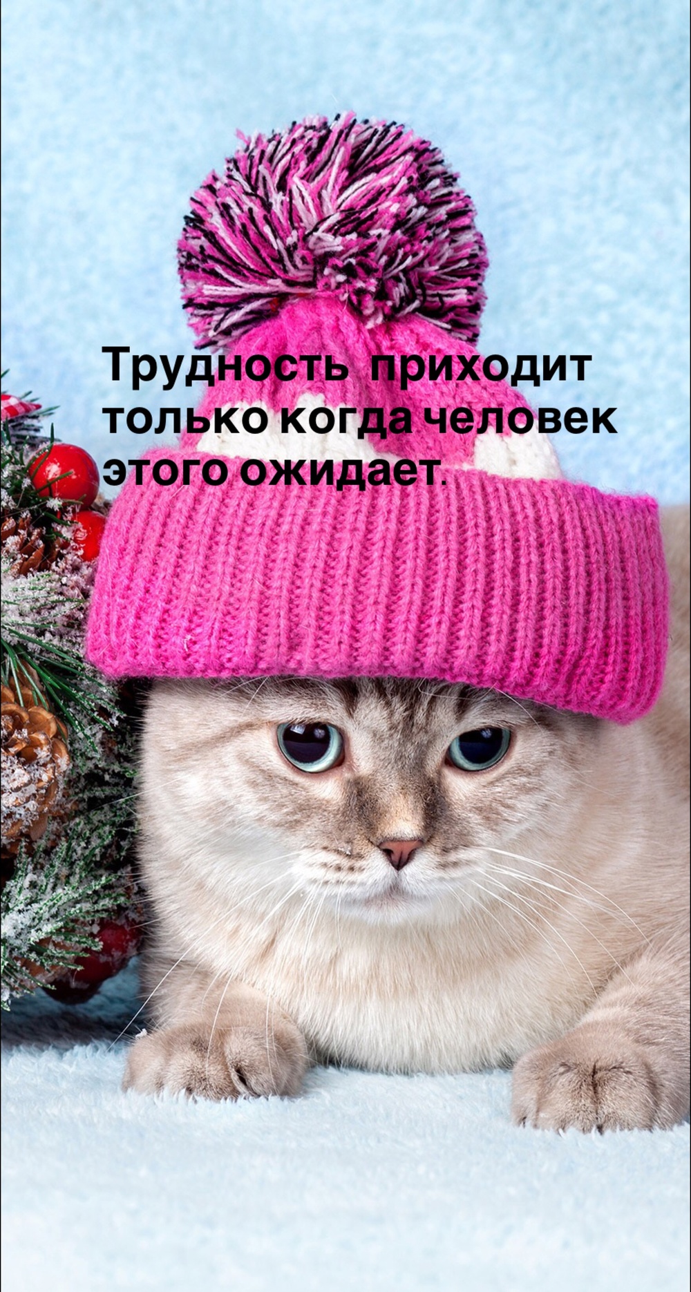 Порадоваться