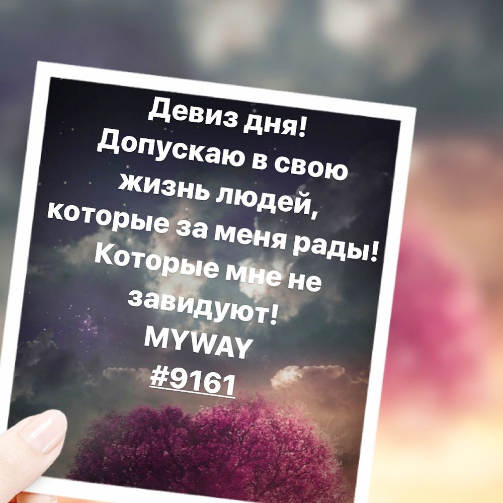 Порадоваться