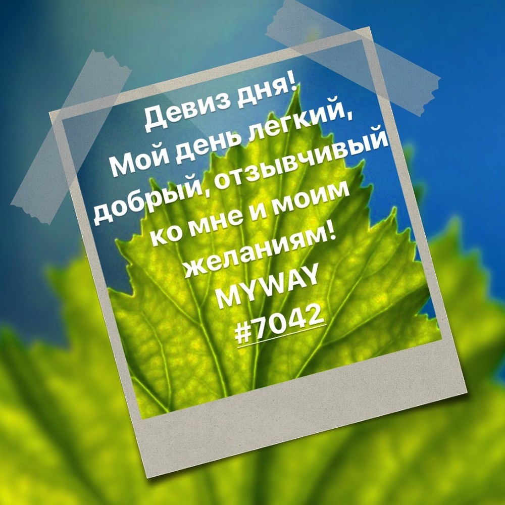 Порадоваться