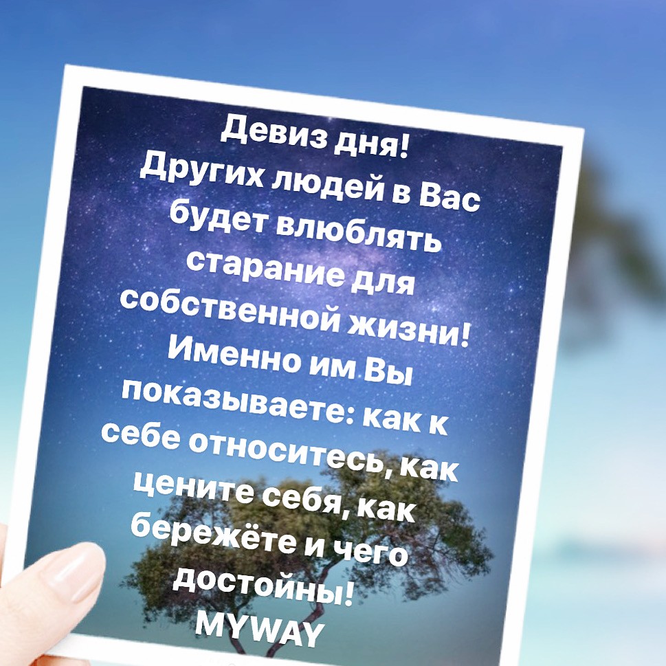Порадоваться