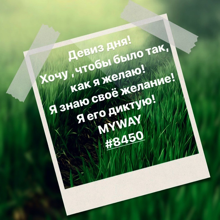 Порадоваться