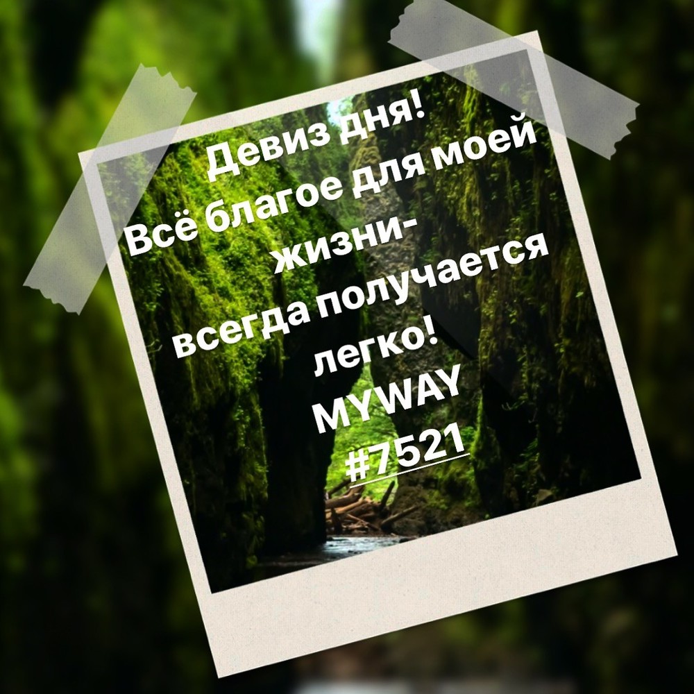 Порадоваться
