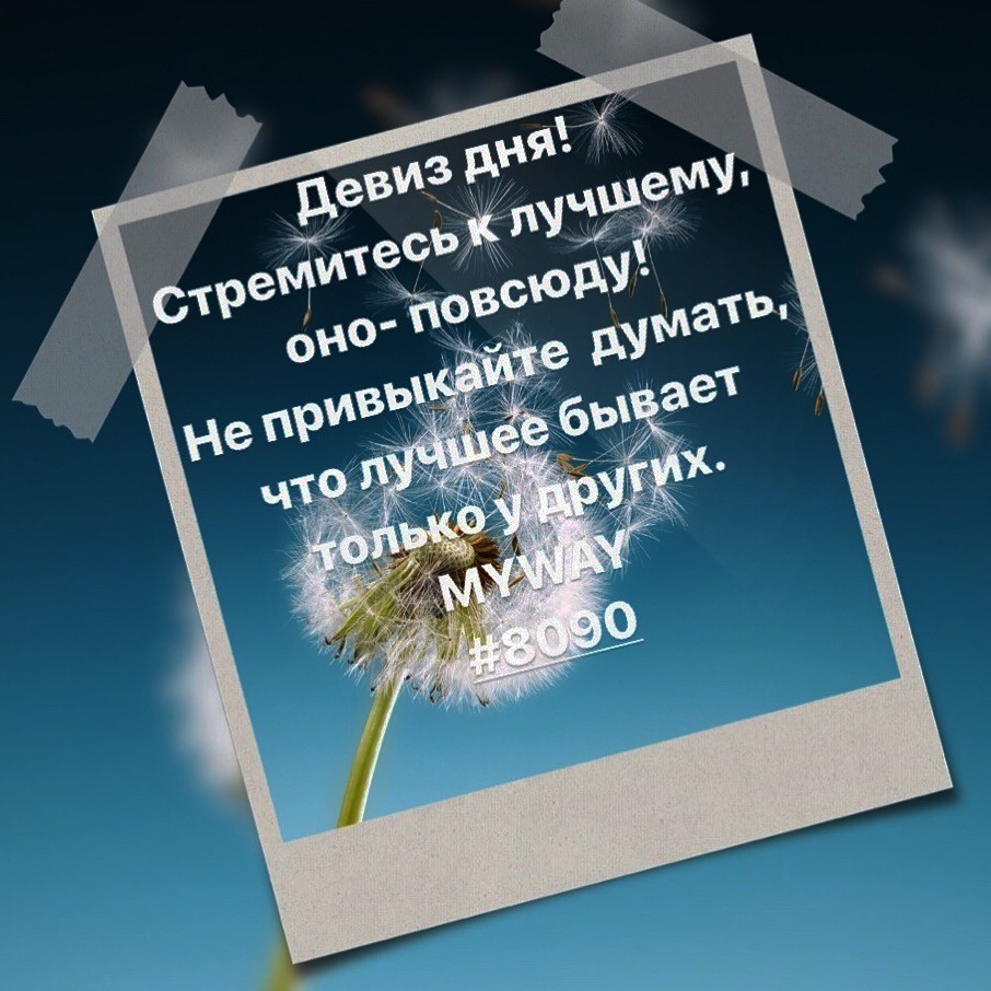 Порадоваться