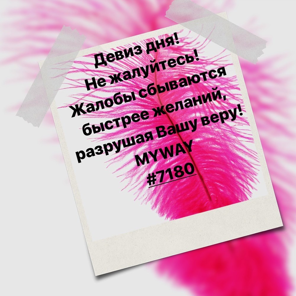 Порадоваться