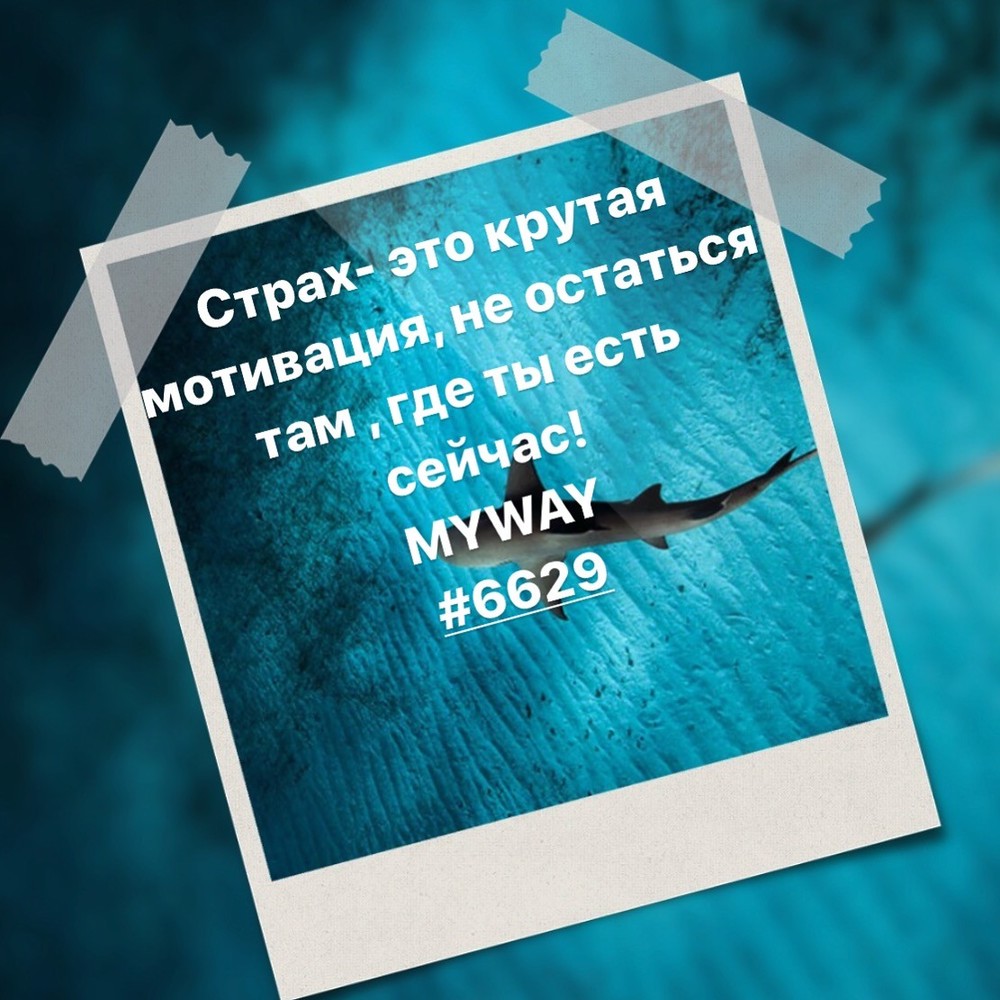 Порадоваться