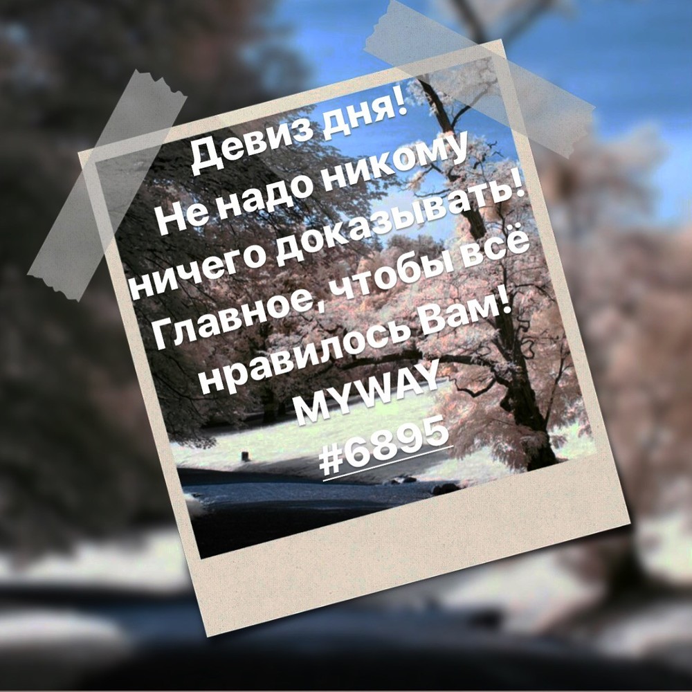 Порадоваться