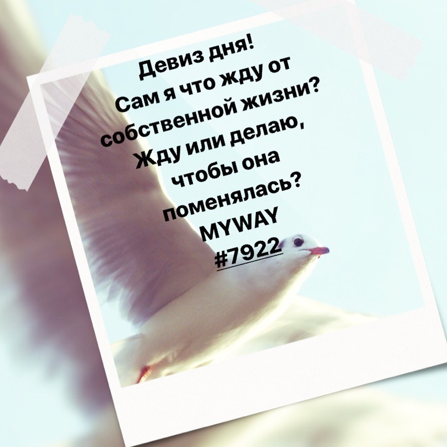 Порадоваться