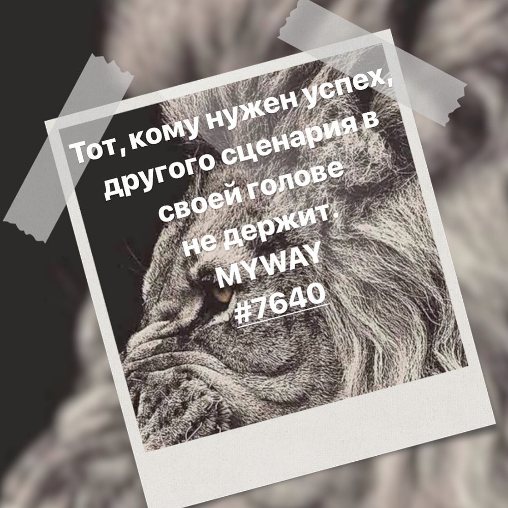 Порадоваться