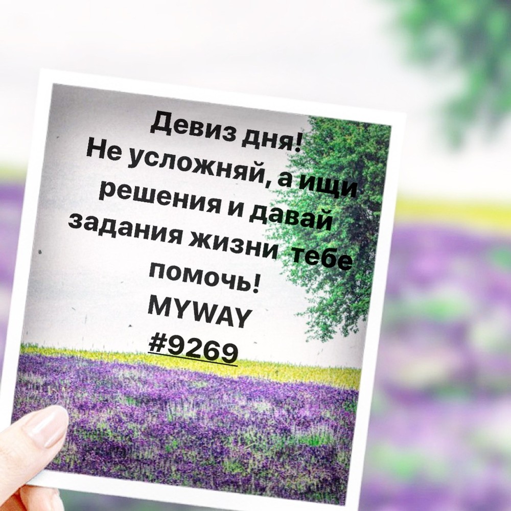 Порадоваться