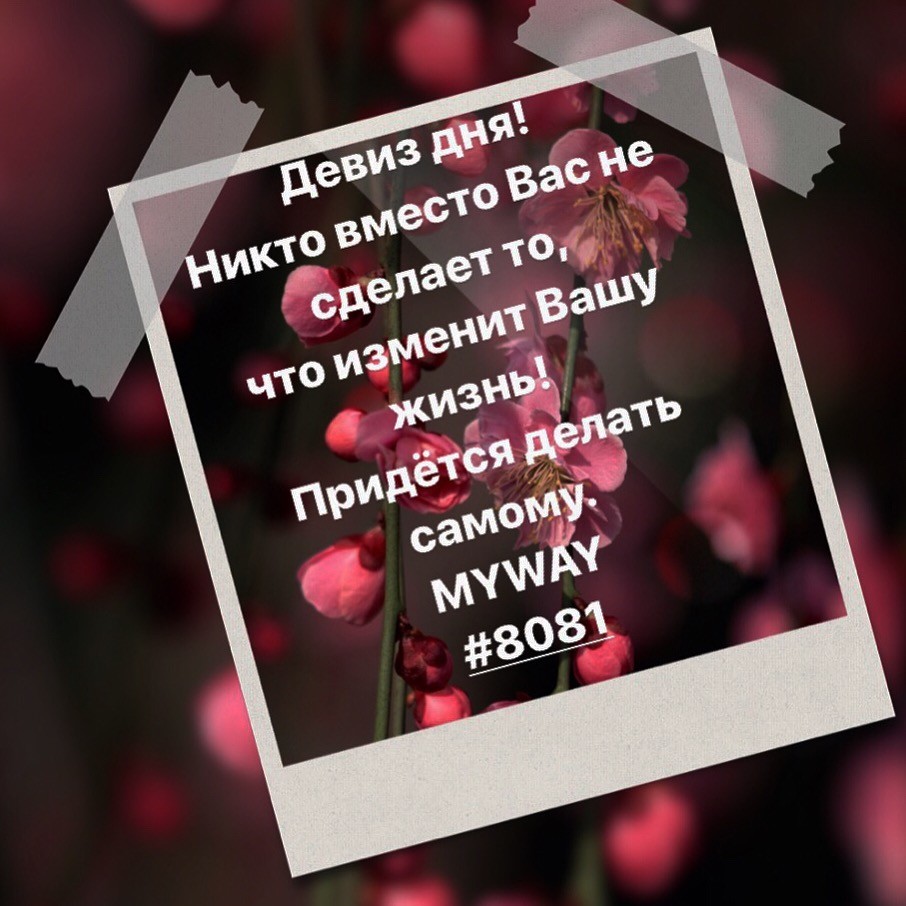 Порадоваться