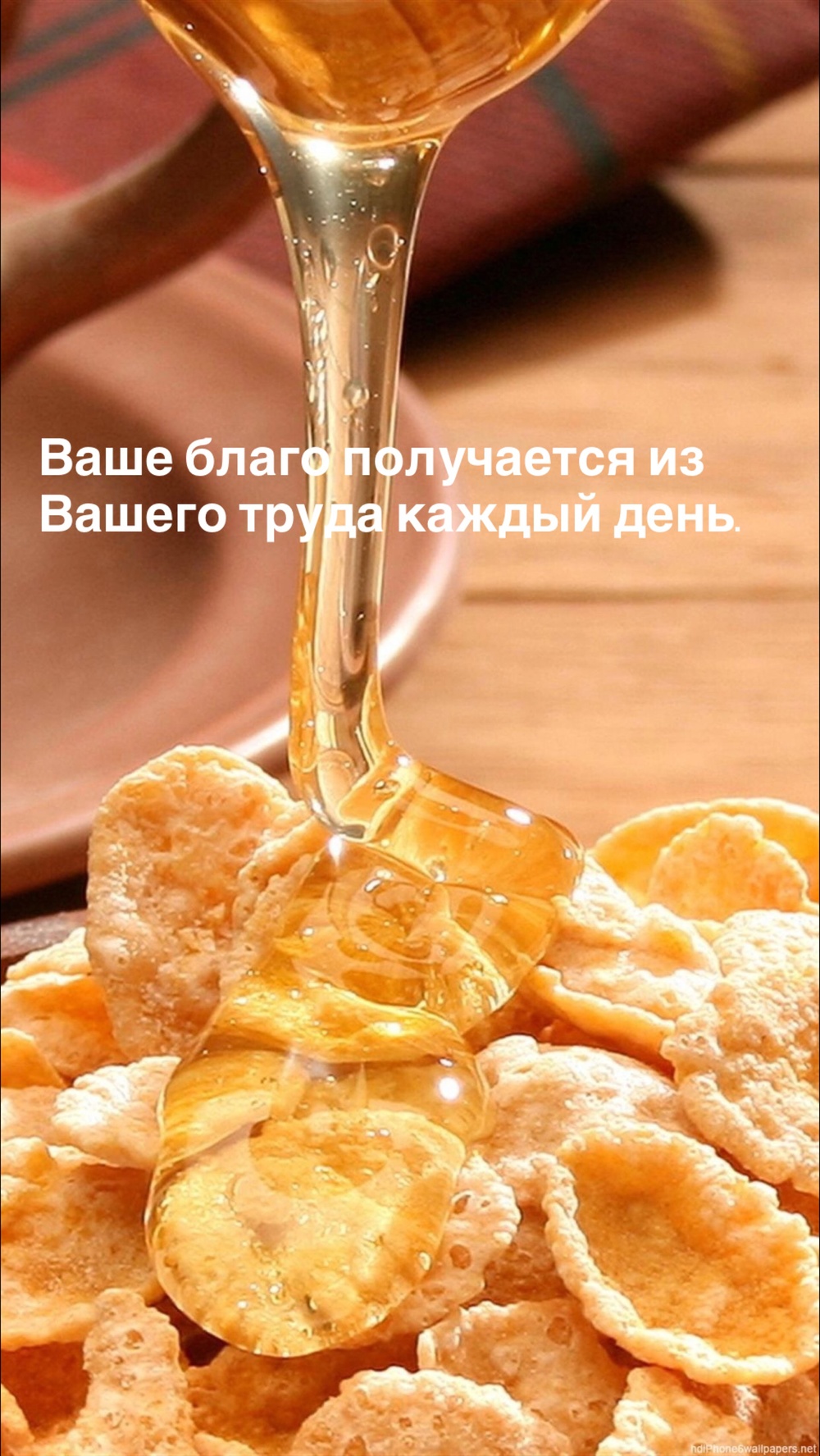 Порадоваться