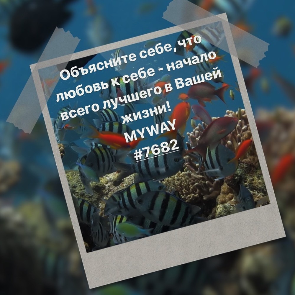 Порадоваться
