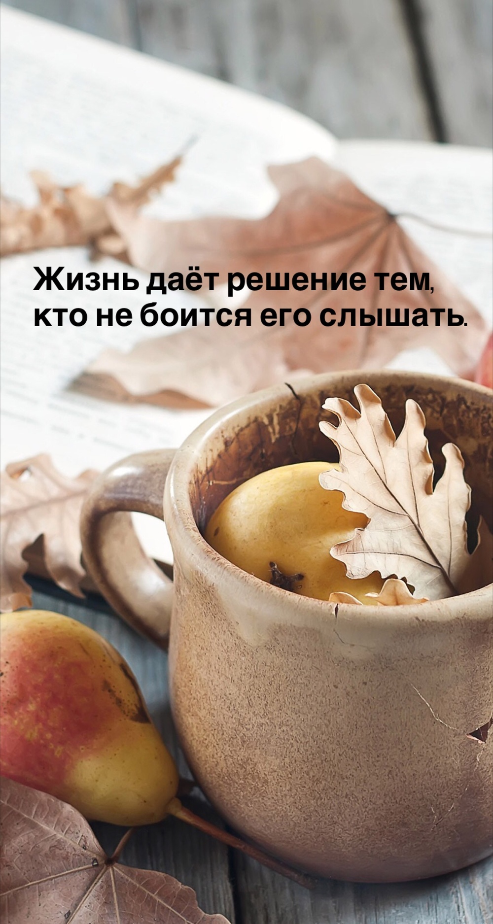 Порадоваться