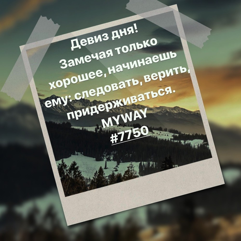 Порадоваться