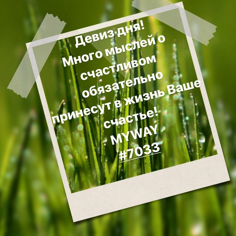 Порадоваться