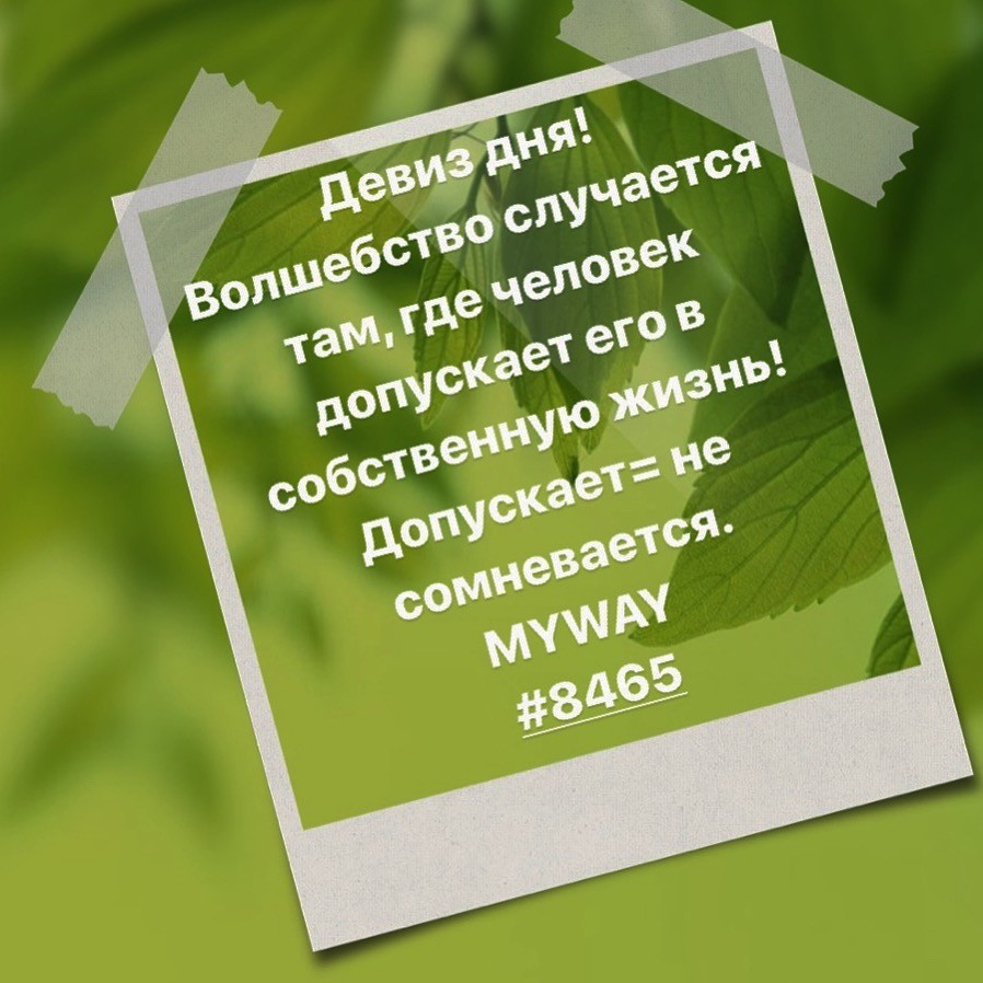 Порадоваться