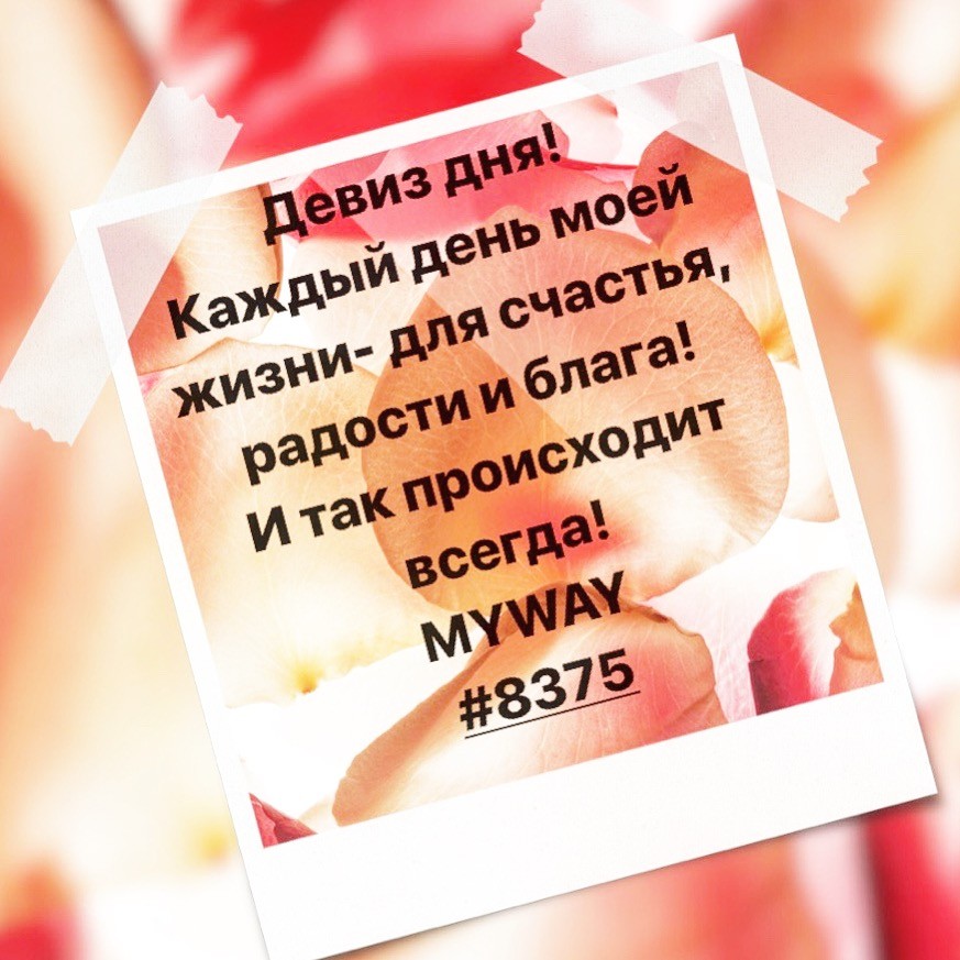 Порадоваться